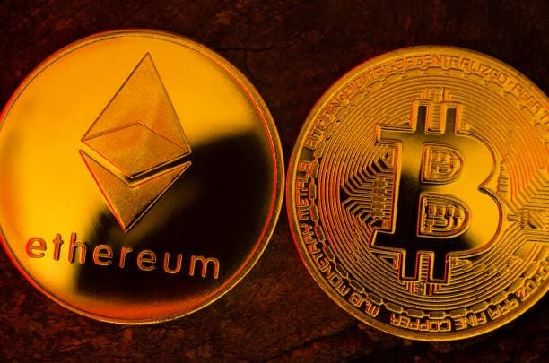How NFTs and SHIB Are Shaping the Crypto World